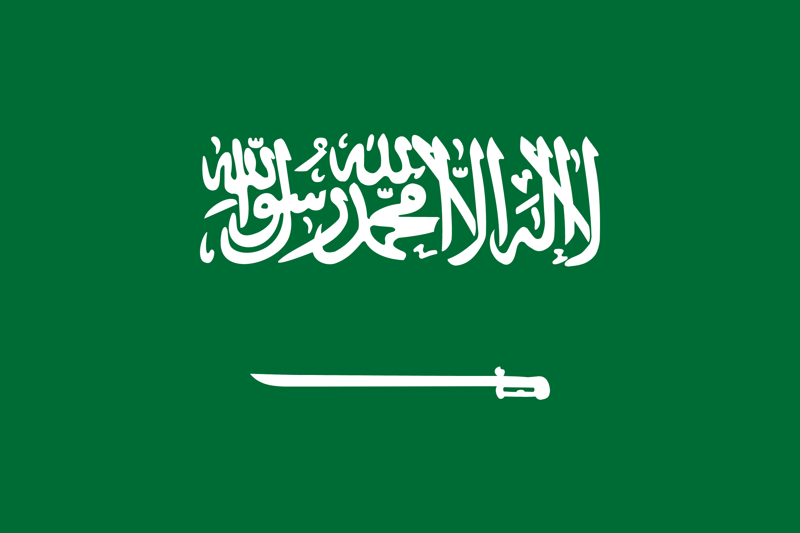 サウジアラビア王国 flag